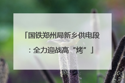 国铁郑州局新乡供电段：全力迎战高“烤”