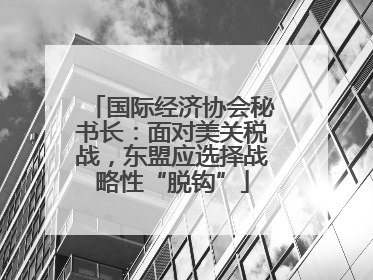 国际经济协会秘书长：面对美关税战，东盟应选择战略性“脱钩”