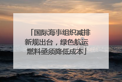 国际海事组织减排新规出台，绿色航运燃料亟须降低成本
