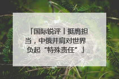 国际锐评丨挺膺担当，中俄并肩对世界负起“特殊责任”