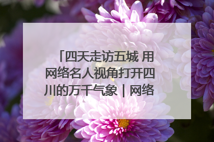 四天走访五城 用网络名人视角打开四川的万千气象｜网络名人四川行