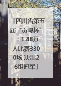 四川省第五届“贡嘎杯”：1.88万人比赛3300场 决出26组冠军