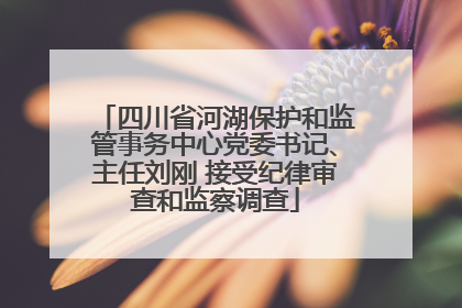 四川省河湖保护和监管事务中心党委书记、主任刘刚 接受纪律审查和监察调查