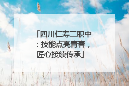 四川仁寿二职中：技能点亮青春，匠心接续传承