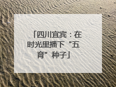 四川宜宾：在时光里播下“五育”种子