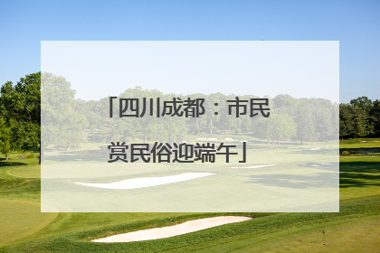 四川成都：市民赏民俗迎端午