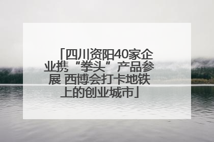 四川资阳40家企业携“拳头”产品参展 西博会打卡地铁上的创业城市