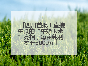 四川首批！直接生食的“牛奶玉米”亮相，每亩纯利提升3000元