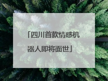 四川首款情感机器人即将面世