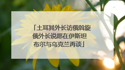 土耳其外长访俄斡旋 俄外长说愿在伊斯坦布尔与乌克兰再谈
