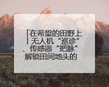 在希望的田野上丨无人机“巡诊”、传感器“把脉” 解锁田间地头的丰收密码