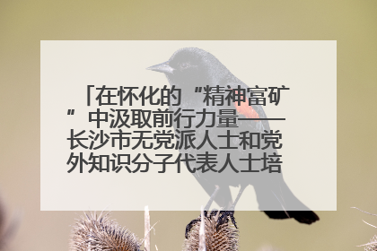 在怀化的“精神富矿”中汲取前行力量——长沙市无党派人士和党外知识分子代表人士培训班在怀化圆满举办