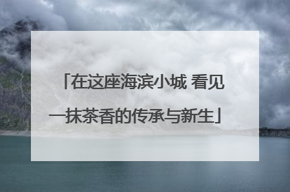 在这座海滨小城 看见一抹茶香的传承与新生