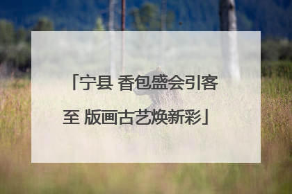 宁县 香包盛会引客至 版画古艺焕新彩