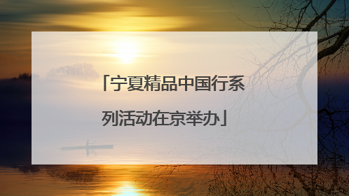 宁夏精品中国行系列活动在京举办