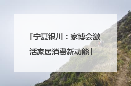 宁夏银川：家博会激活家居消费新动能