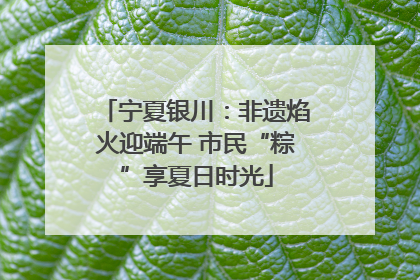 宁夏银川：非遗焰火迎端午 市民“粽”享夏日时光