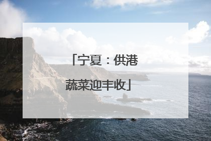 宁夏：供港蔬菜迎丰收