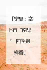 宁夏：塞上有“南果” 四季别样香