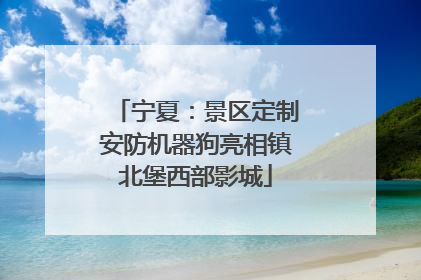 宁夏：景区定制安防机器狗亮相镇北堡西部影城