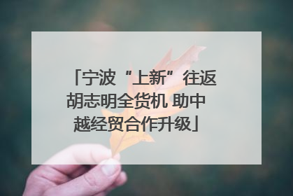 宁波“上新”往返胡志明全货机 助中越经贸合作升级