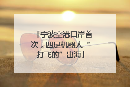 宁波空港口岸首次，四足机器人“打飞的”出海