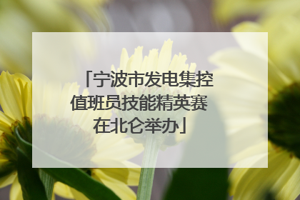 宁波市发电集控值班员技能精英赛在北仑举办