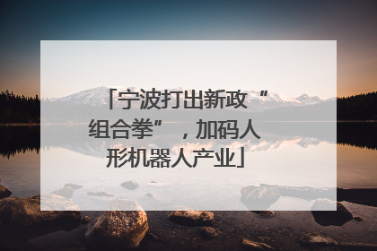 宁波打出新政“组合拳”，加码人形机器人产业