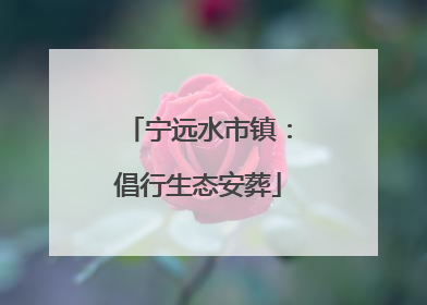 宁远水市镇：倡行生态安葬