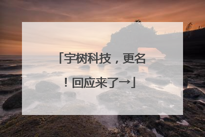 宇树科技，更名！回应来了→
