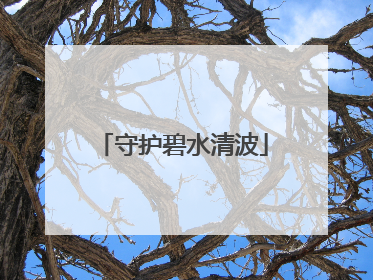 守护碧水清波