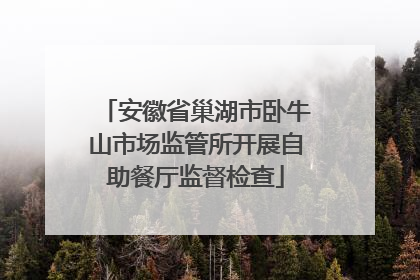 安徽省巢湖市卧牛山市场监管所开展自助餐厅监督检查