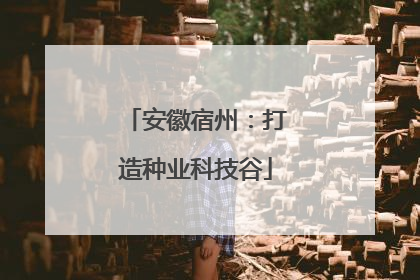 安徽宿州：打造种业科技谷