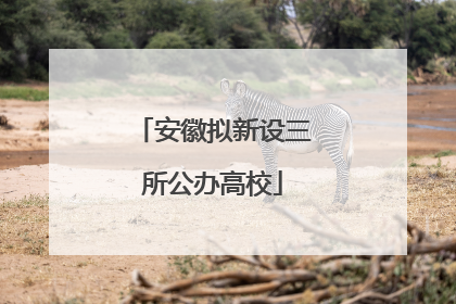 安徽拟新设三所公办高校