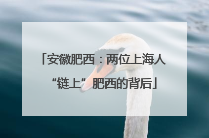 安徽肥西：两位上海人“链上”肥西的背后