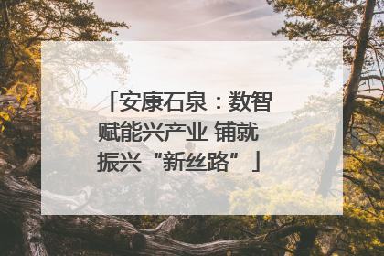 安康石泉：数智赋能兴产业 铺就振兴“新丝路”