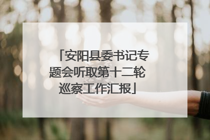 安阳县委书记专题会听取第十二轮巡察工作汇报