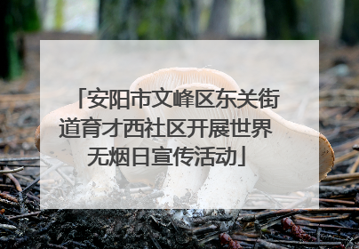 安阳市文峰区东关街道育才西社区开展世界无烟日宣传活动