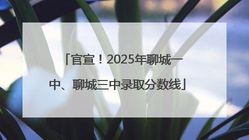 官宣！2025年聊城一中、聊城三中录取分数线