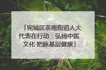 宛城区茶庵街道人大代表在行动：弘扬中医文化 把脉基层健康