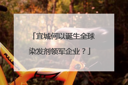 宜城何以诞生全球染发剂领军企业？