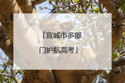宜城市多部门护航高考