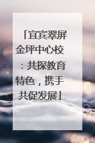 宜宾翠屏金坪中心校：共探教育特色，携手共促发展