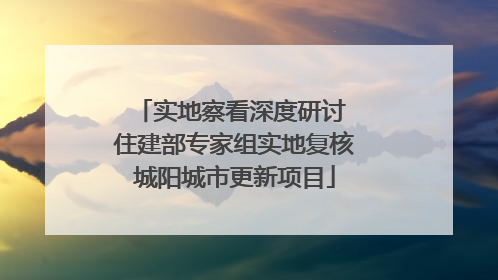 实地察看深度研讨 住建部专家组实地复核城阳城市更新项目