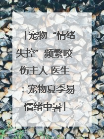 宠物“情绪失控”频繁咬伤主人 医生：宠物夏季易情绪中暑