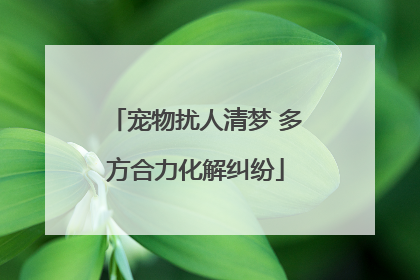 宠物扰人清梦 多方合力化解纠纷