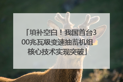 填补空白！我国首台300兆瓦级变速抽蓄机组核心技术实现突破