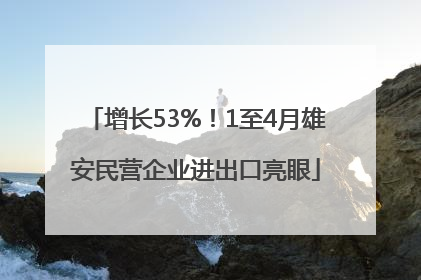 增长53%！1至4月雄安民营企业进出口亮眼