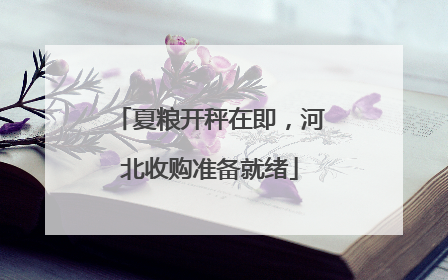 夏粮开秤在即，河北收购准备就绪