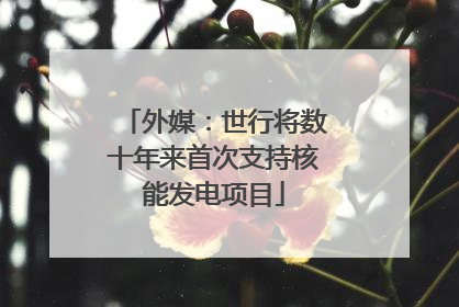 外媒：世行将数十年来首次支持核能发电项目